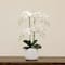 Nearly Natural; 2ft. Orchid Arrangement in Decorative Ceramic Vase; Category:Tabletop Floral Arrangements; Image:7